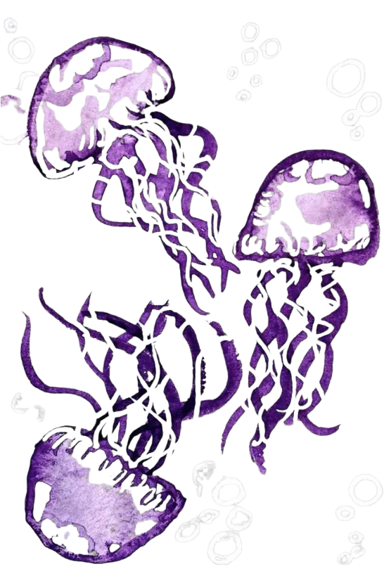 DTF Design for Colostomy Ileostomy Urostomy Stoma Pouch Cover