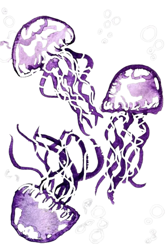 DTF Design for Colostomy Ileostomy Urostomy Stoma Pouch Cover